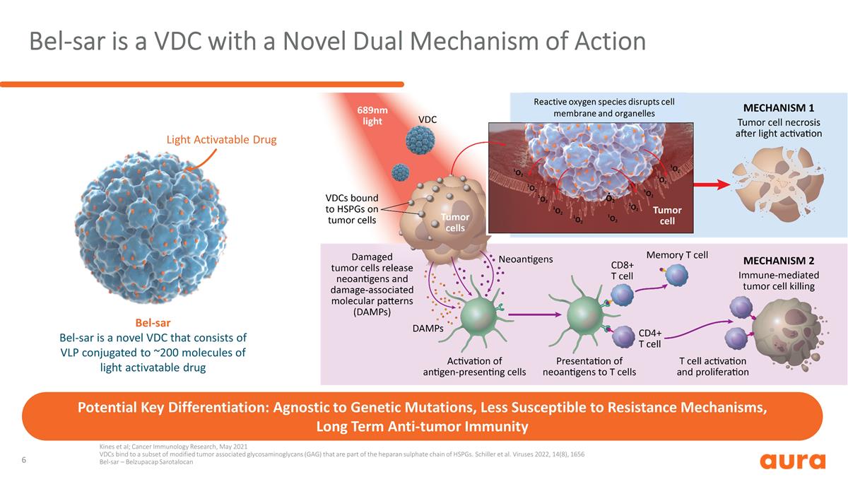 Slide 6