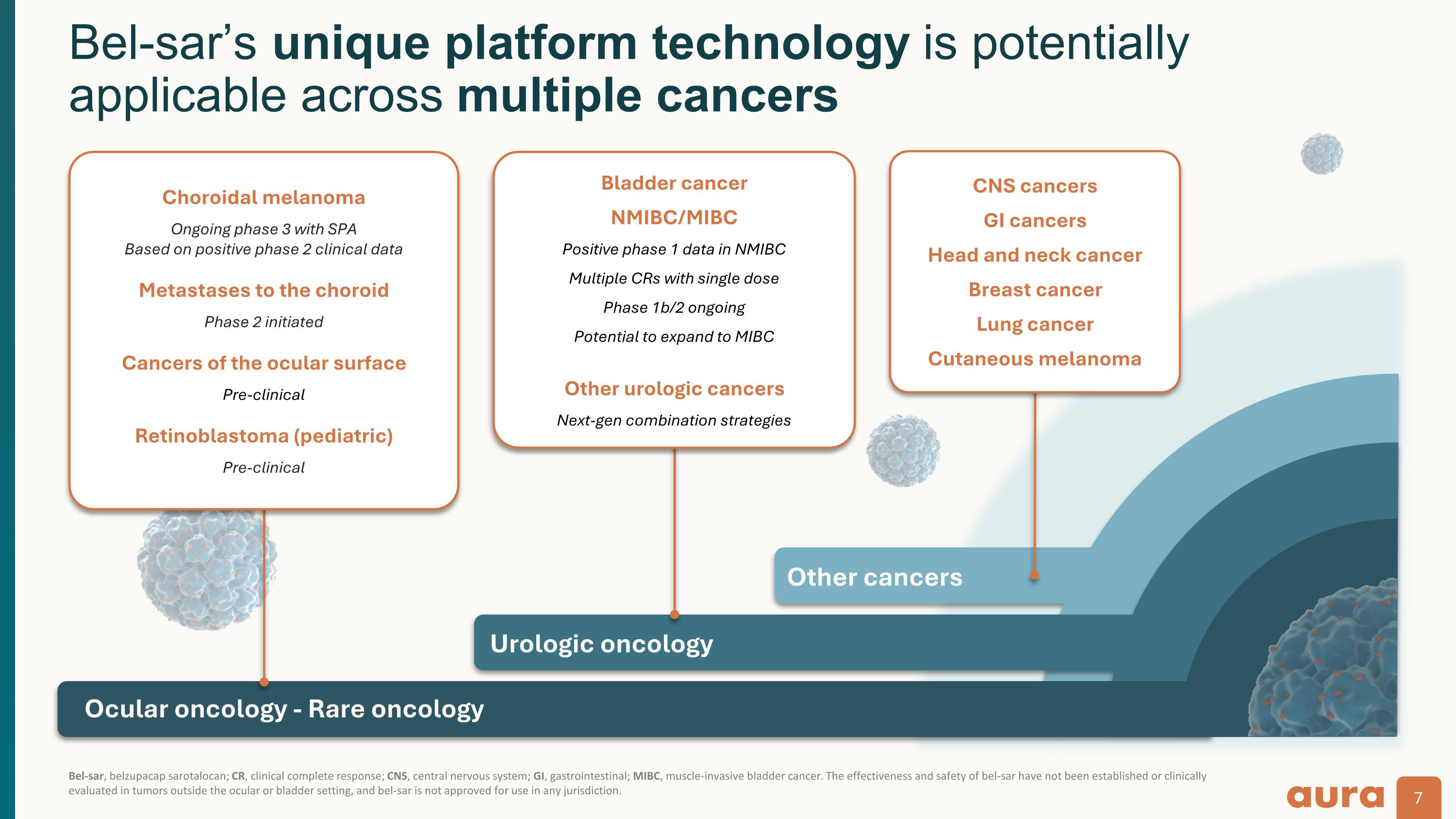 Slide 7