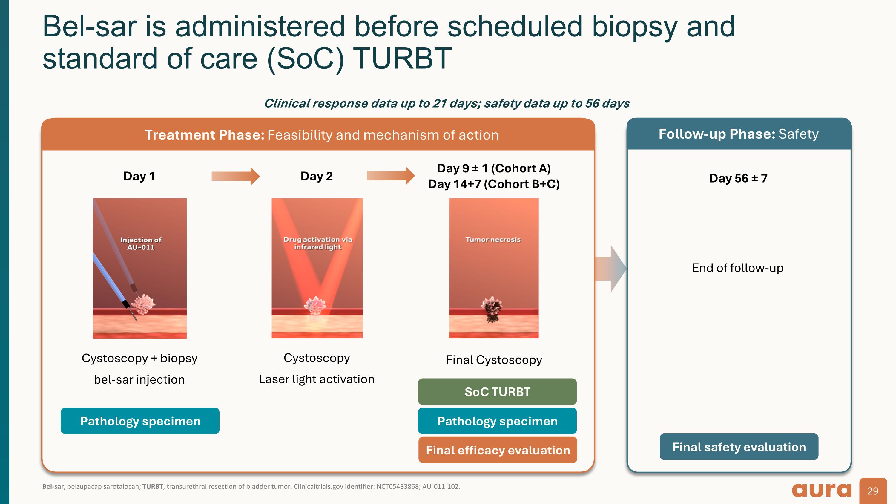 Slide 29
