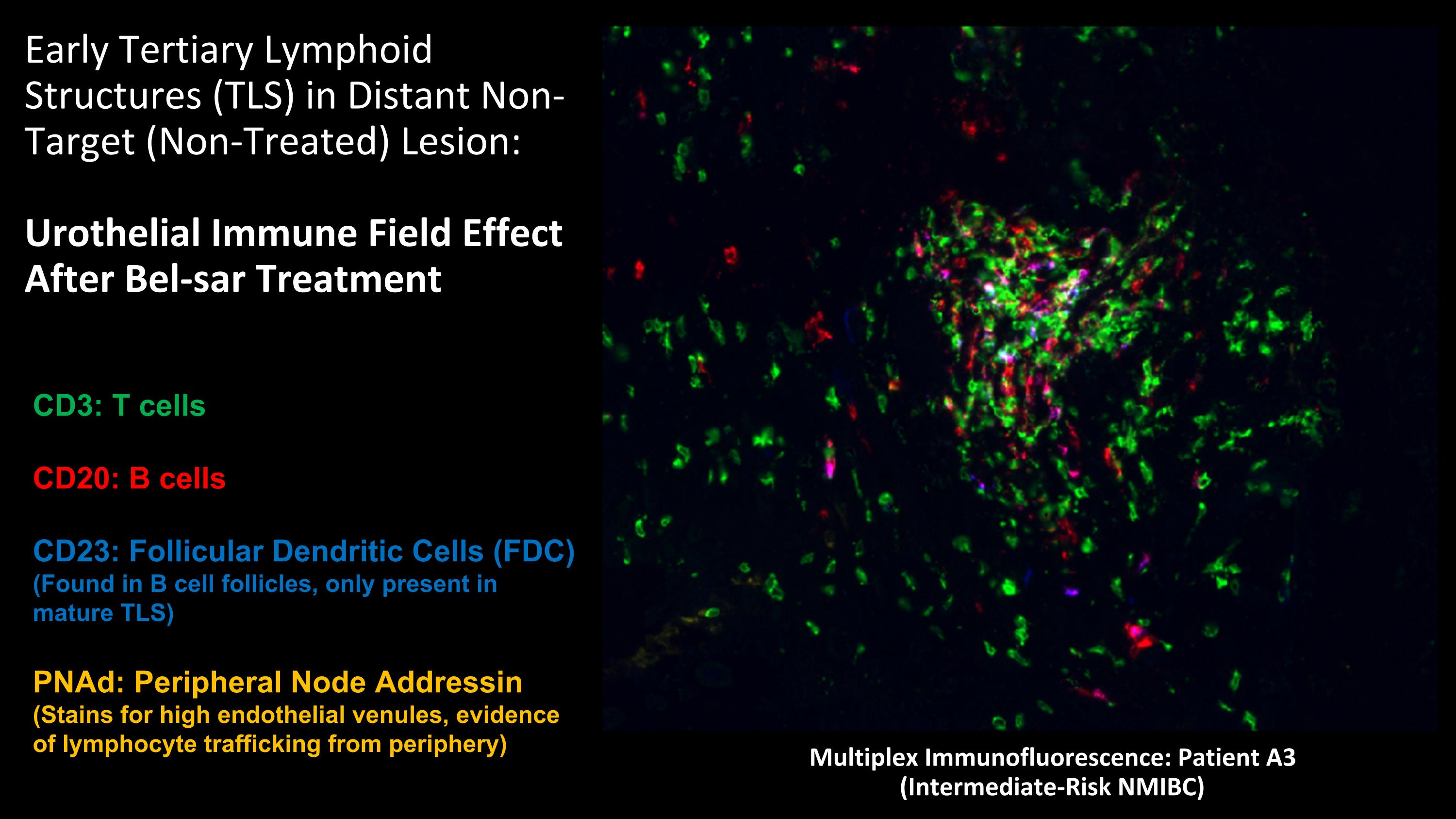 Slide 37