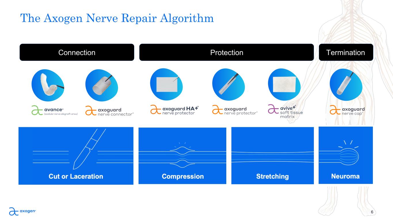 Slide 6 of 26
