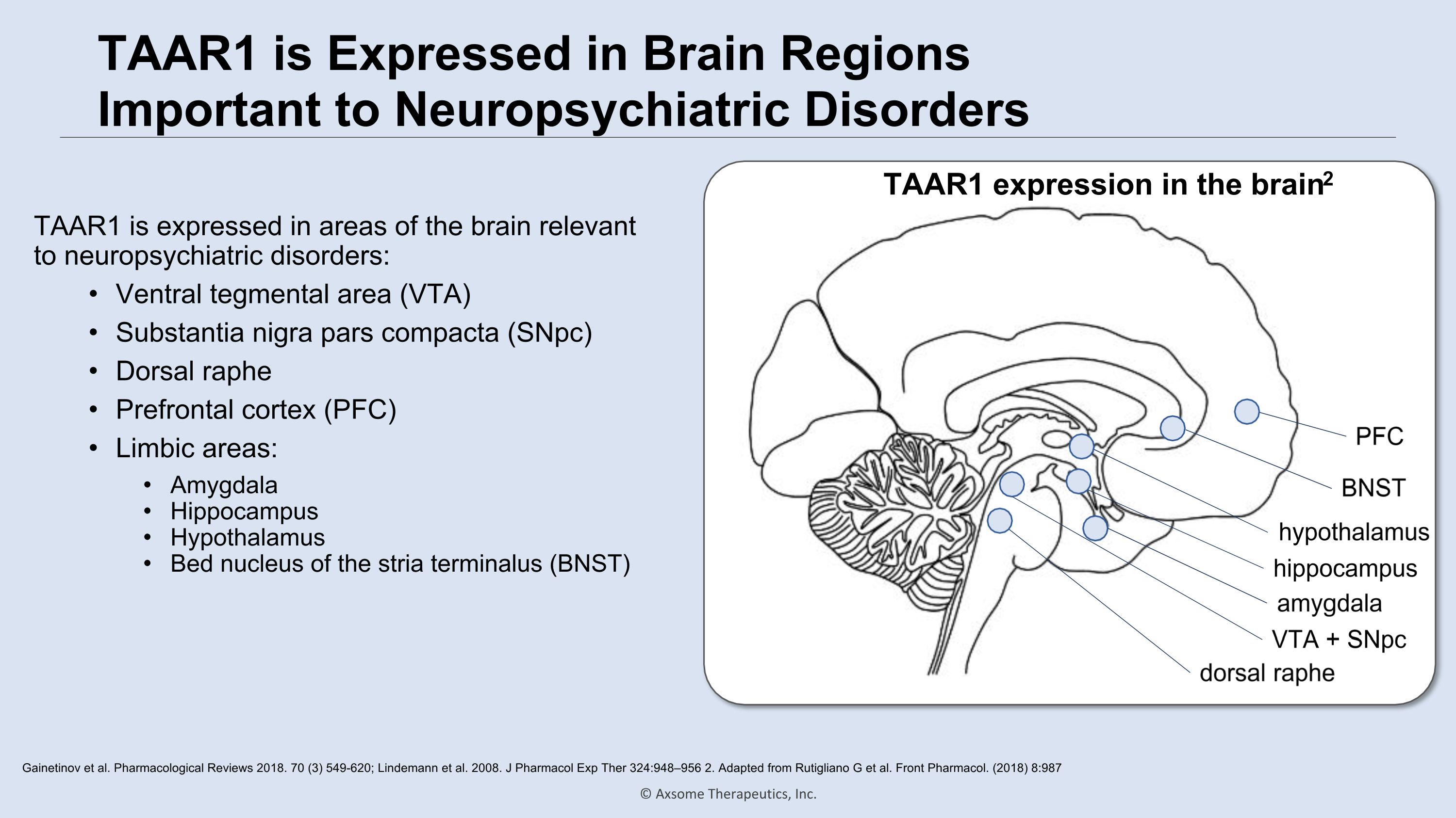 Slide 16