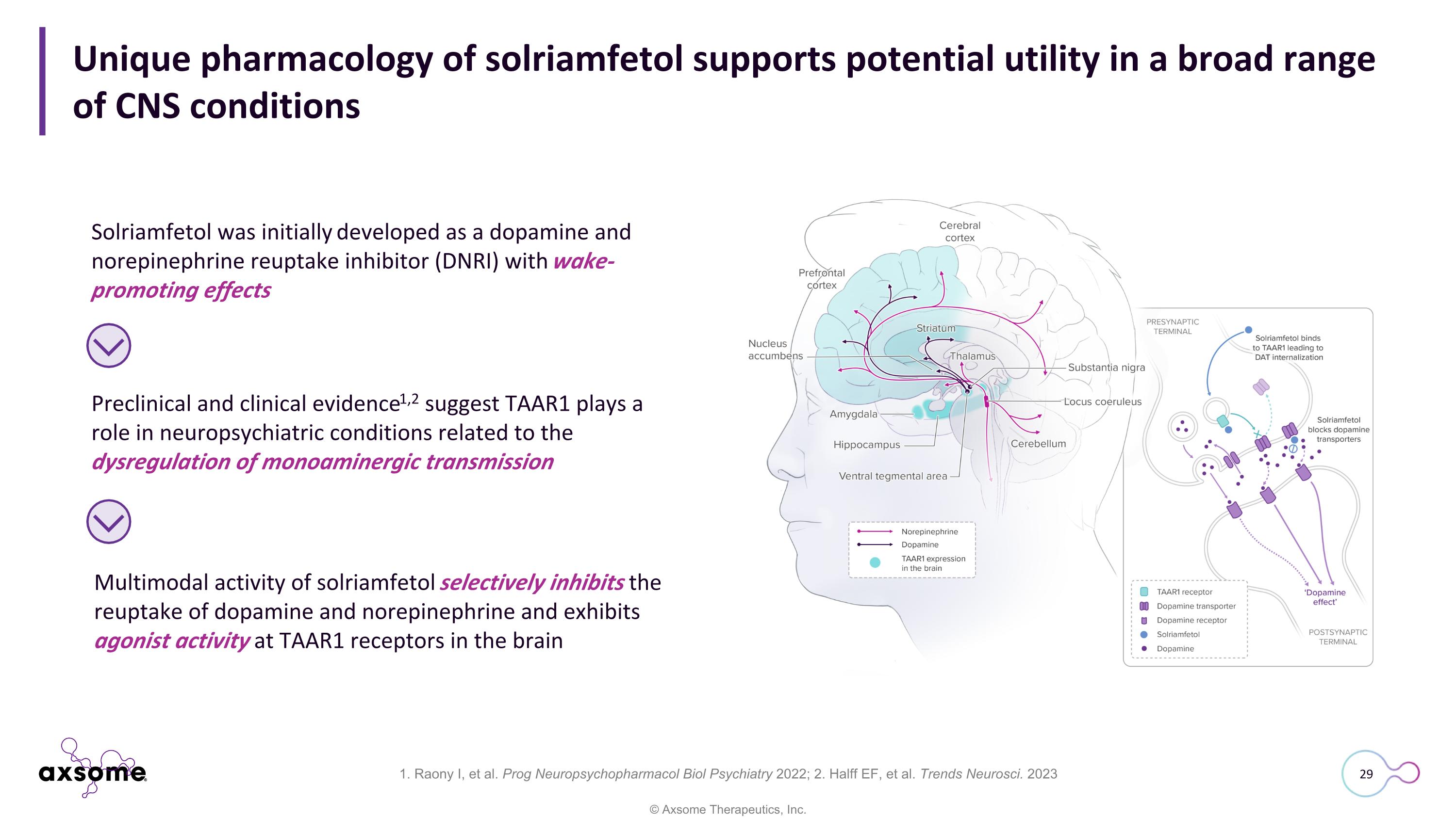 Slide 29