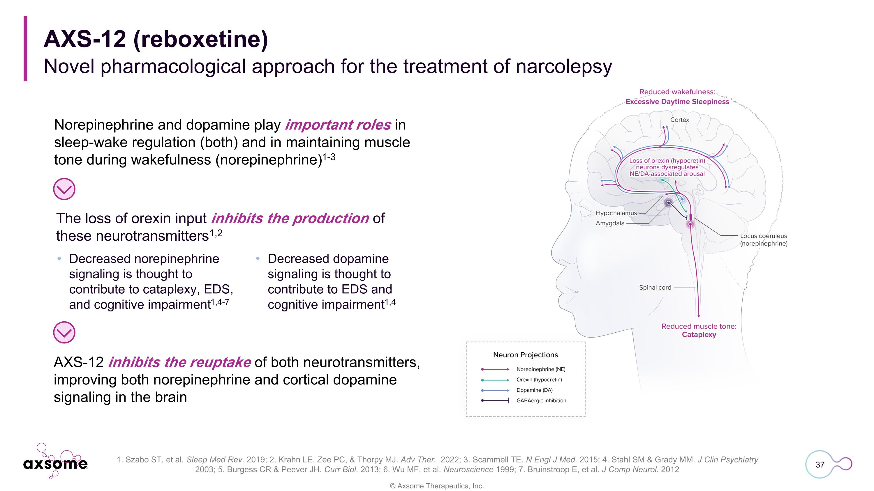Slide 37