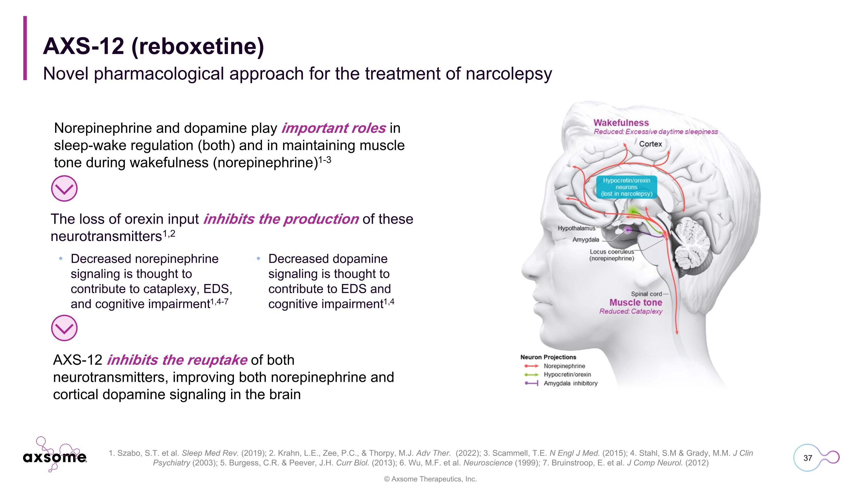 Slide 37