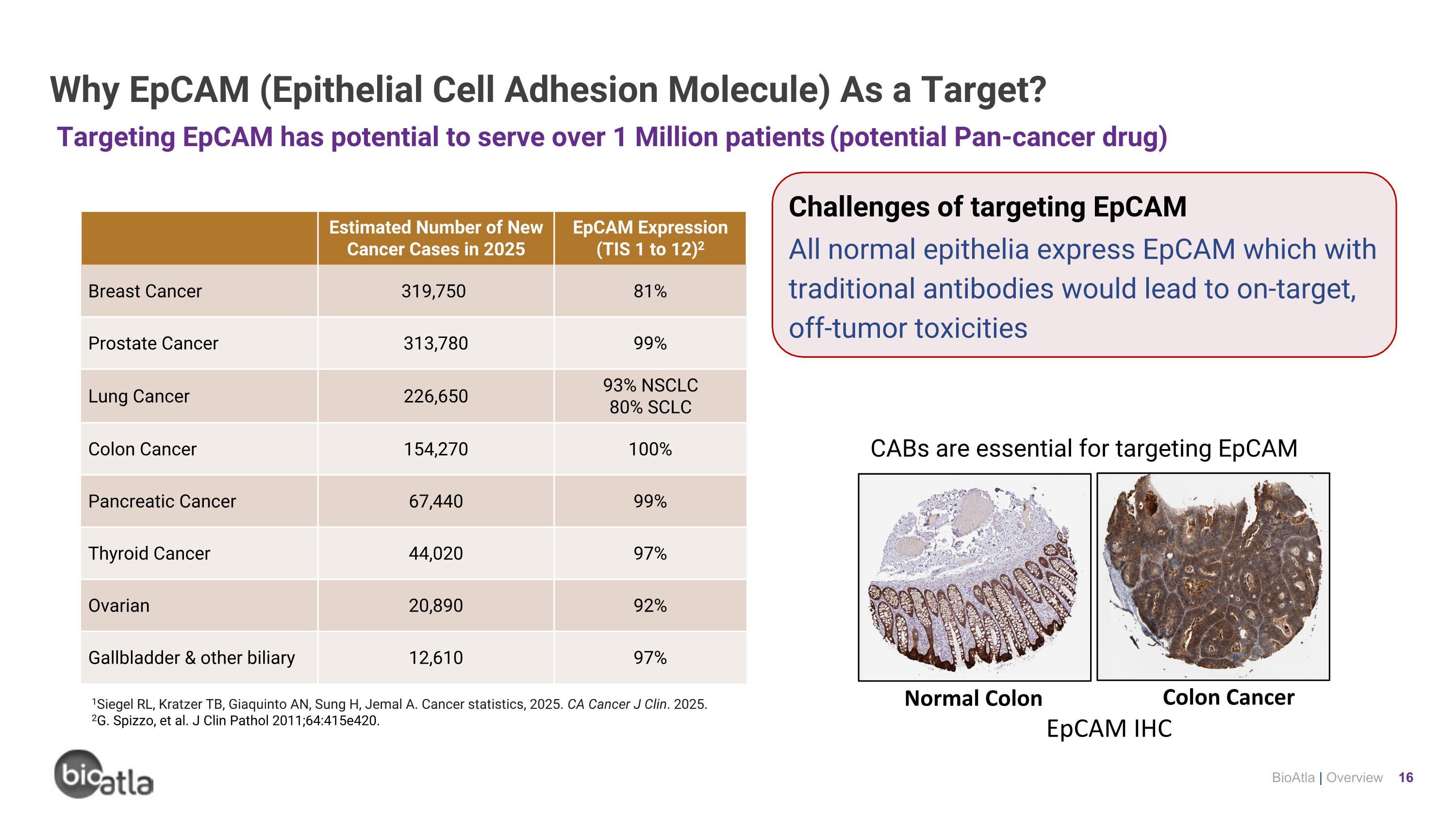 Slide 16