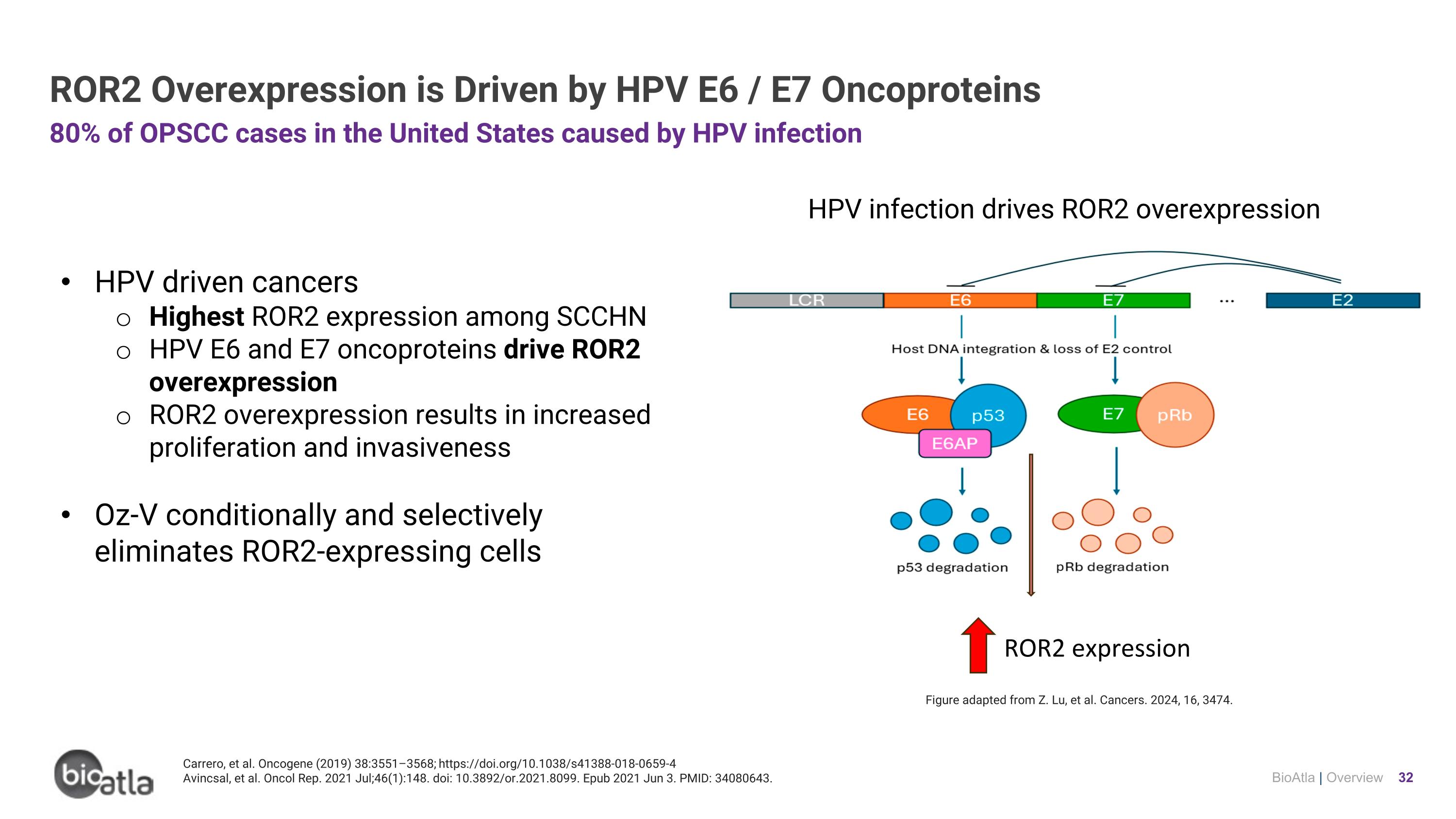 Slide 32