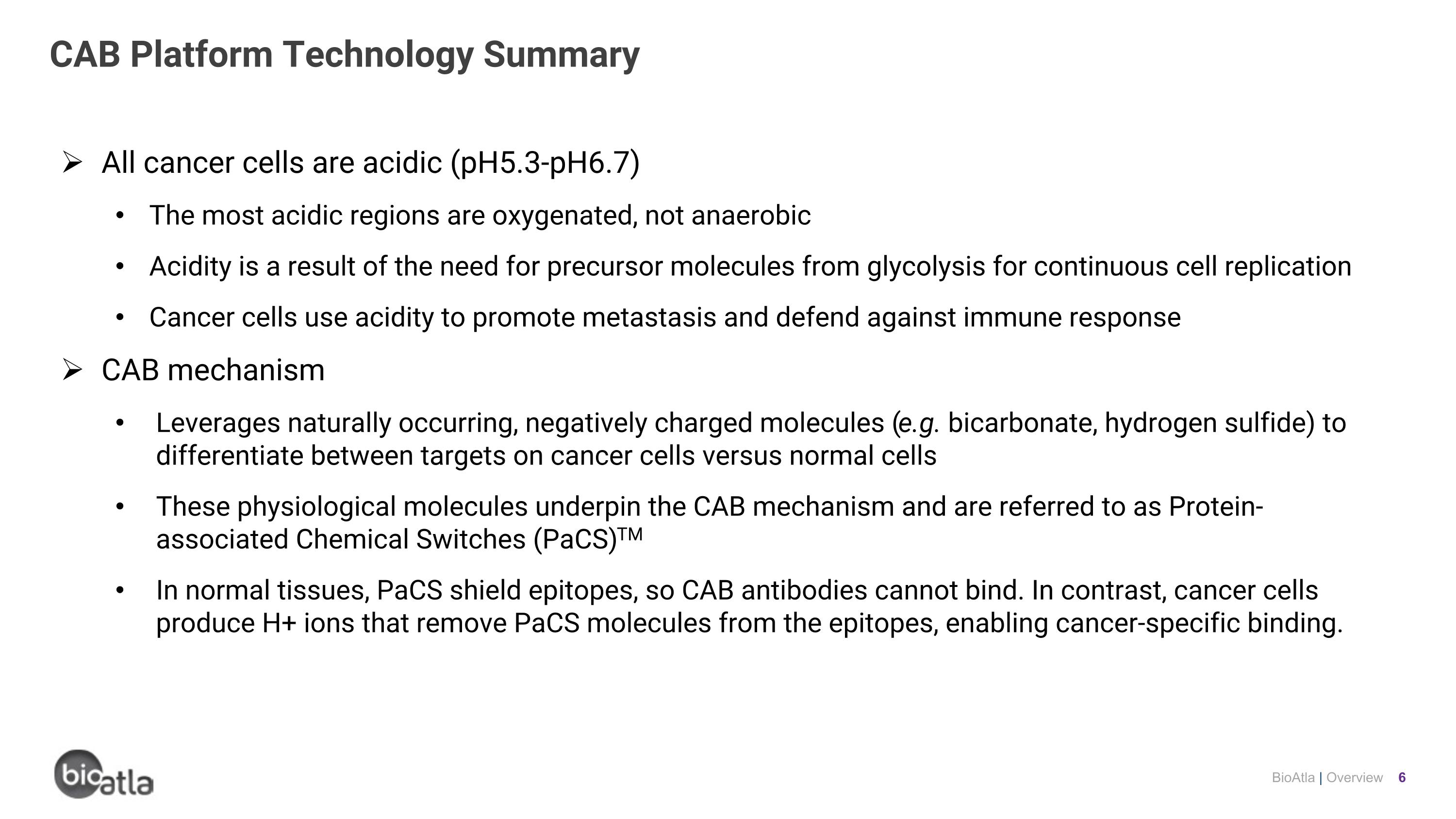 Slide 6