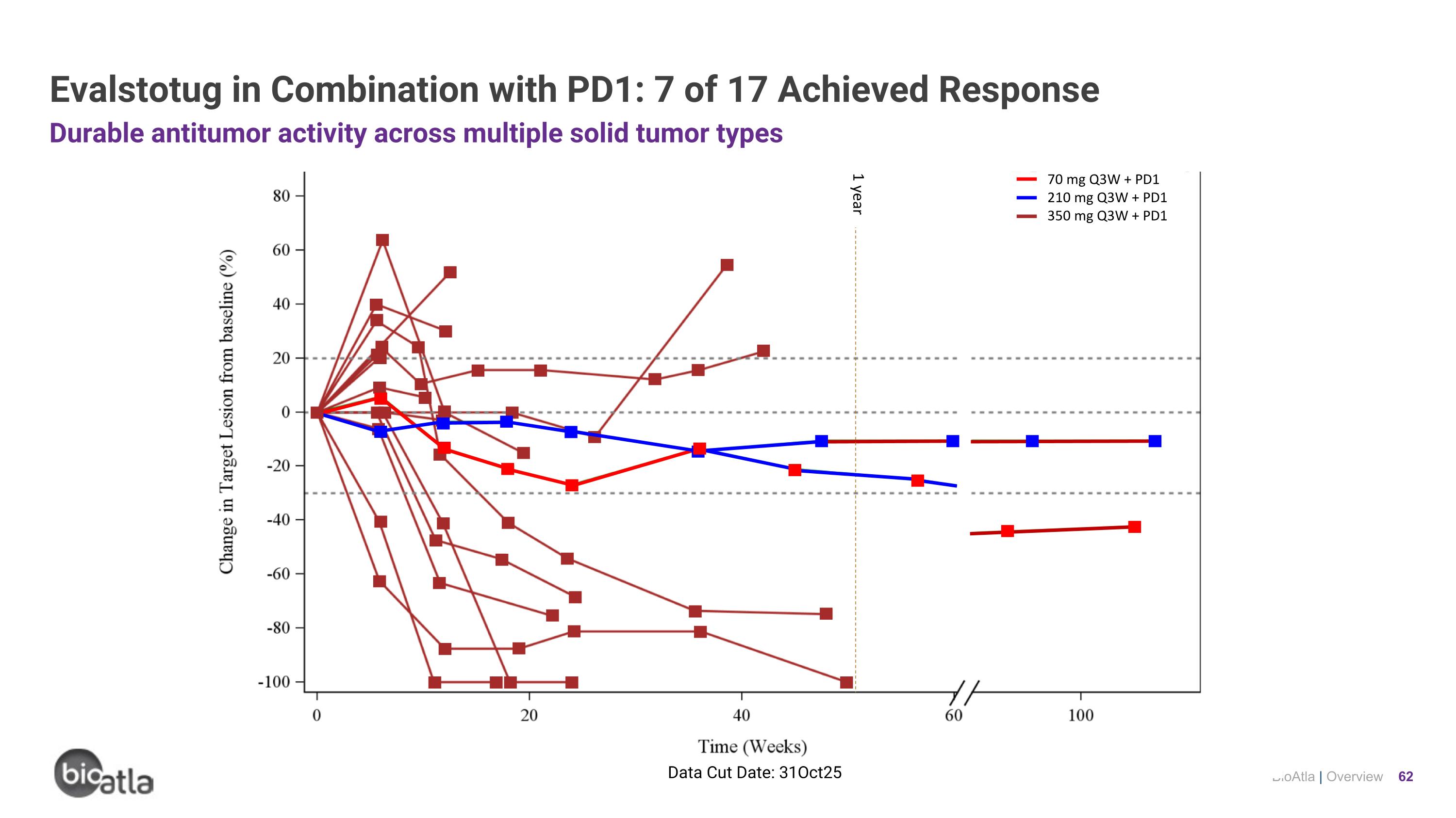 Slide 62