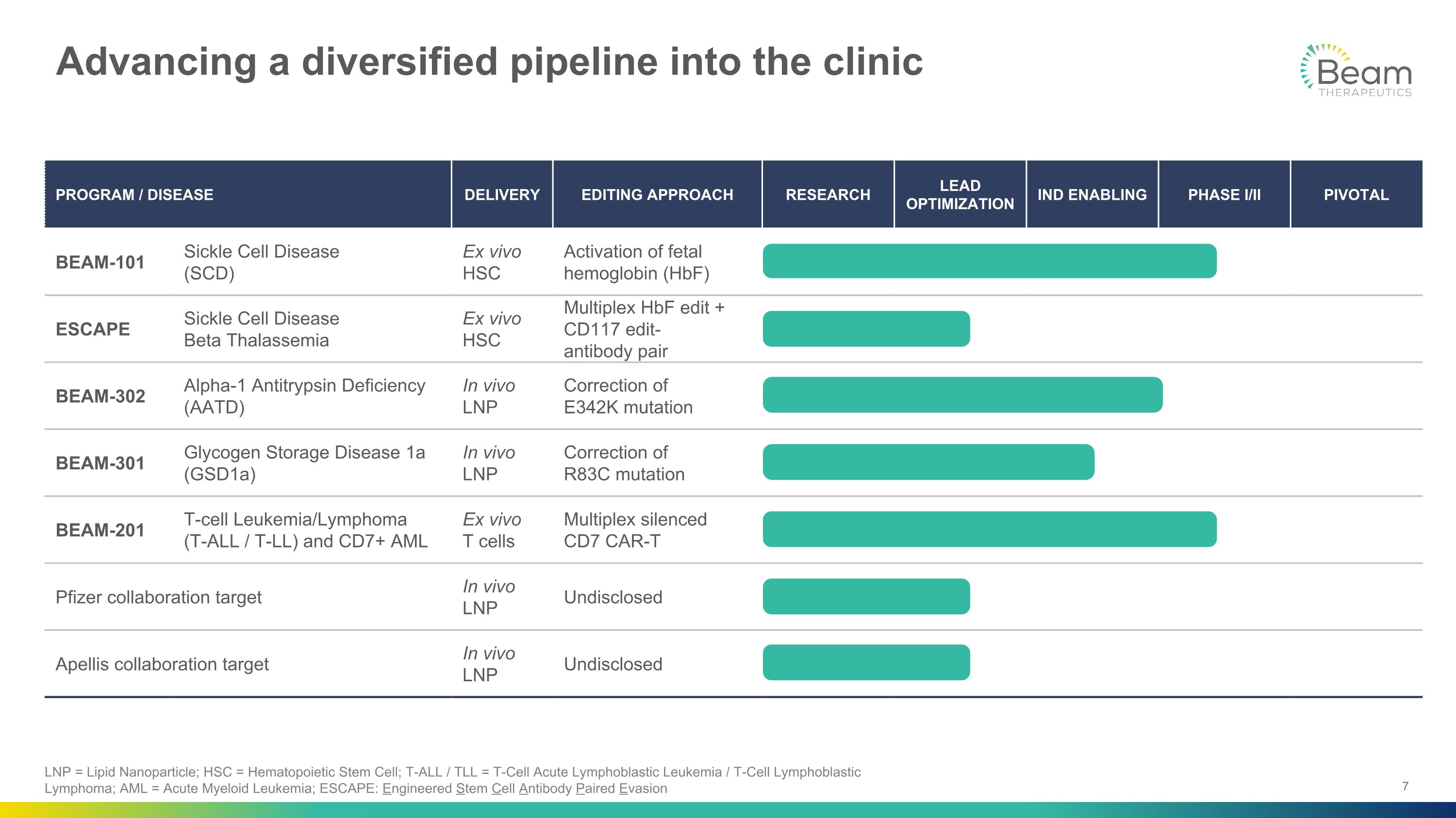 Slide 7
