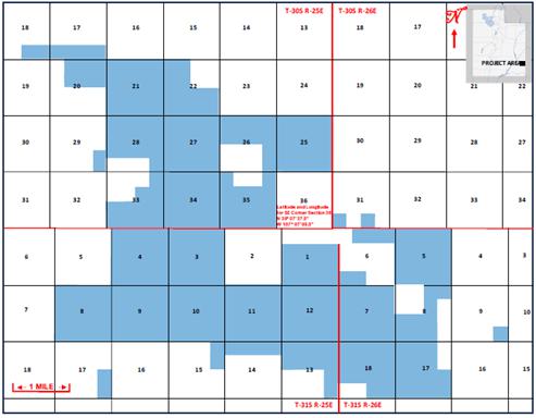A grid of blue squares
Description automatically generated