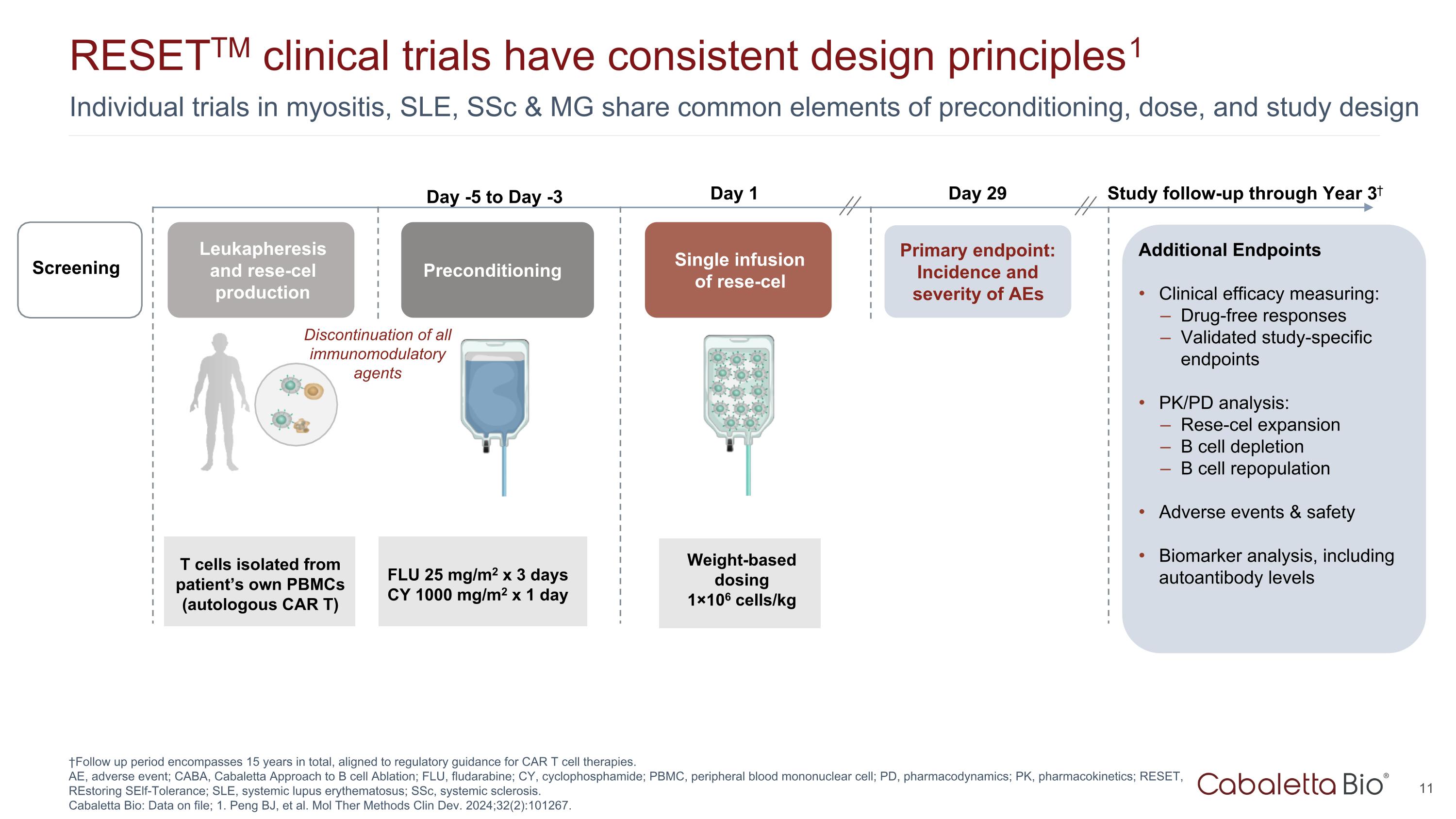 Slide 11