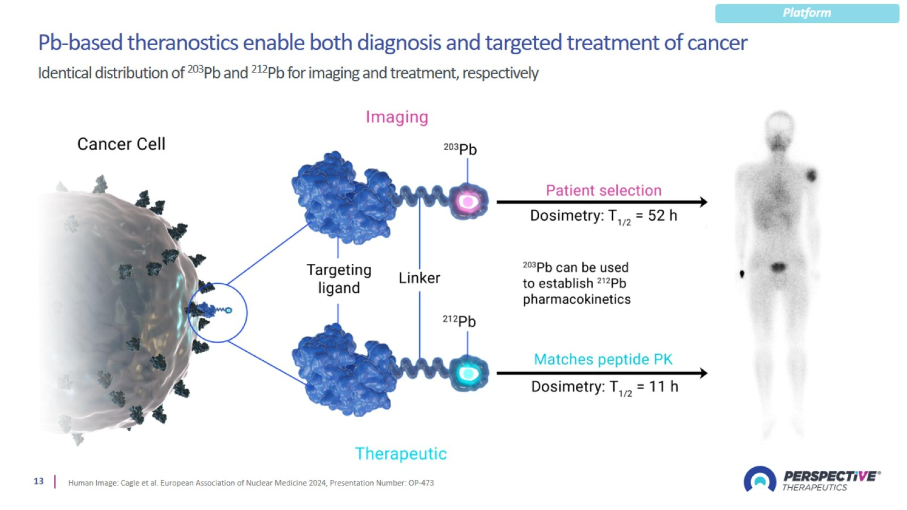 Slide 13