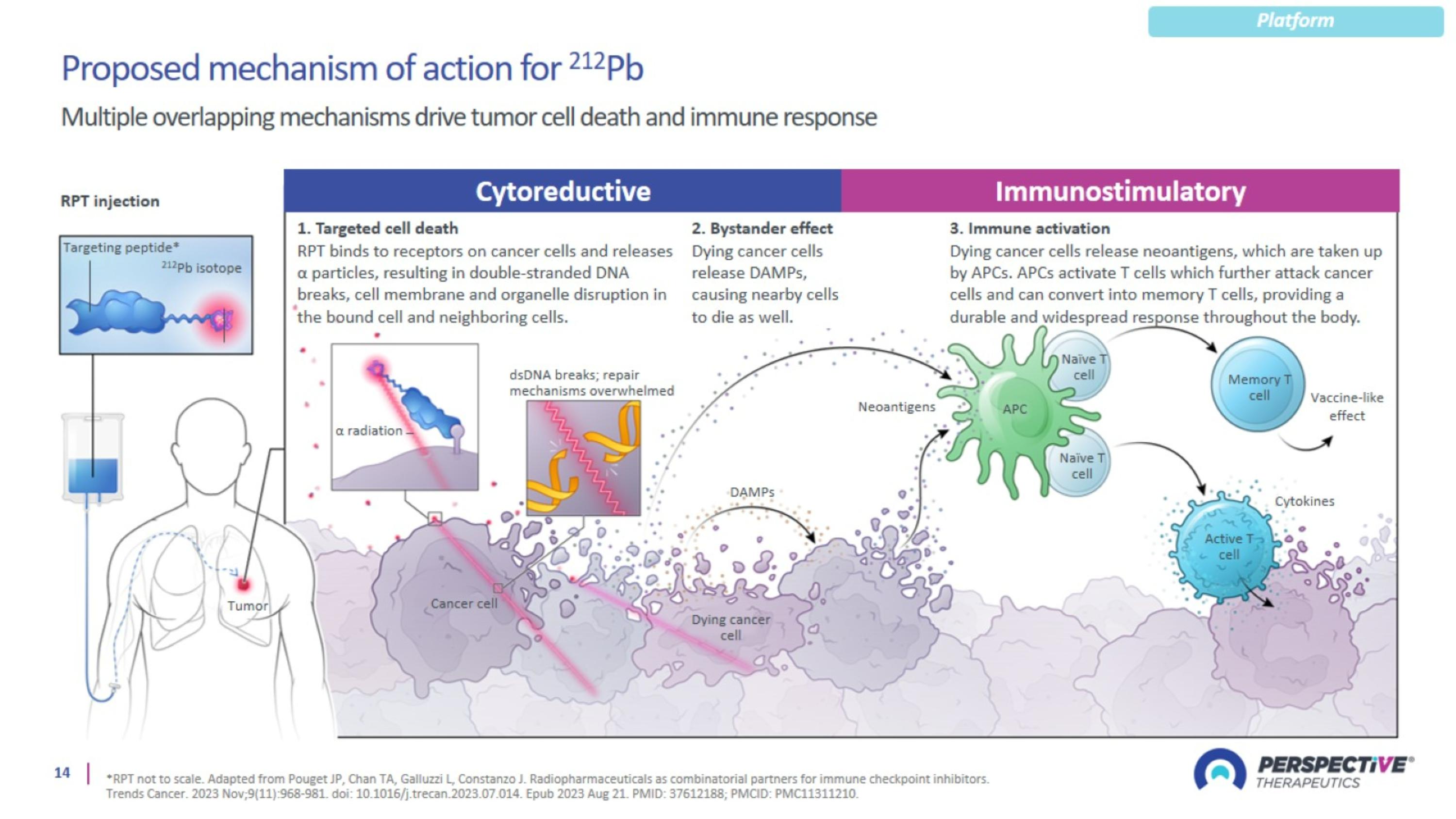 Slide 14