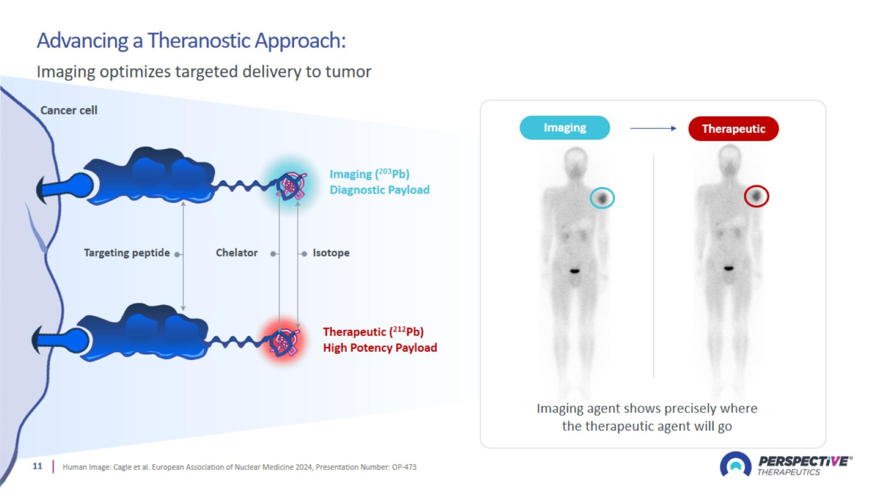 Slide 11 Slide 11