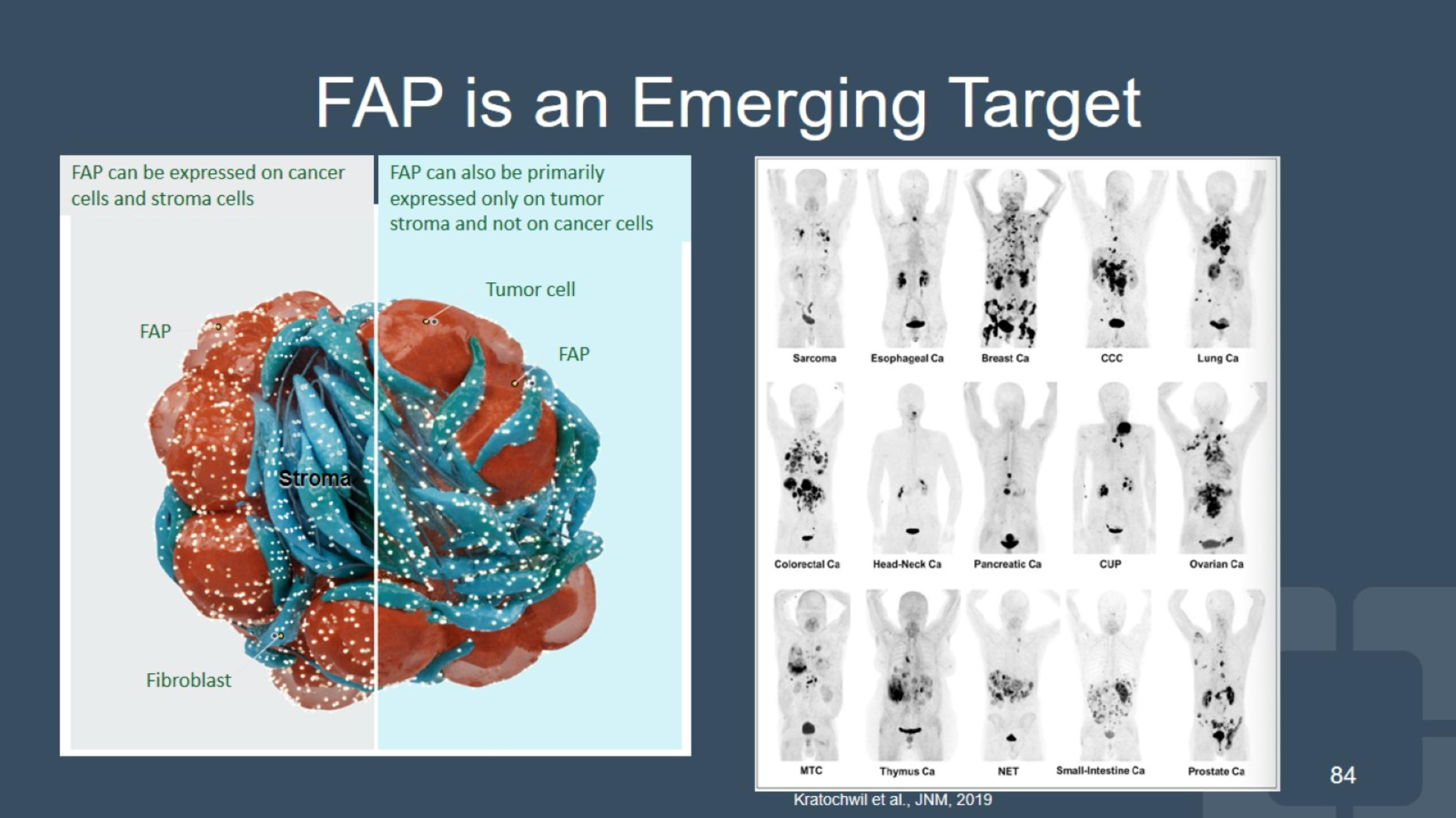 Slide 84