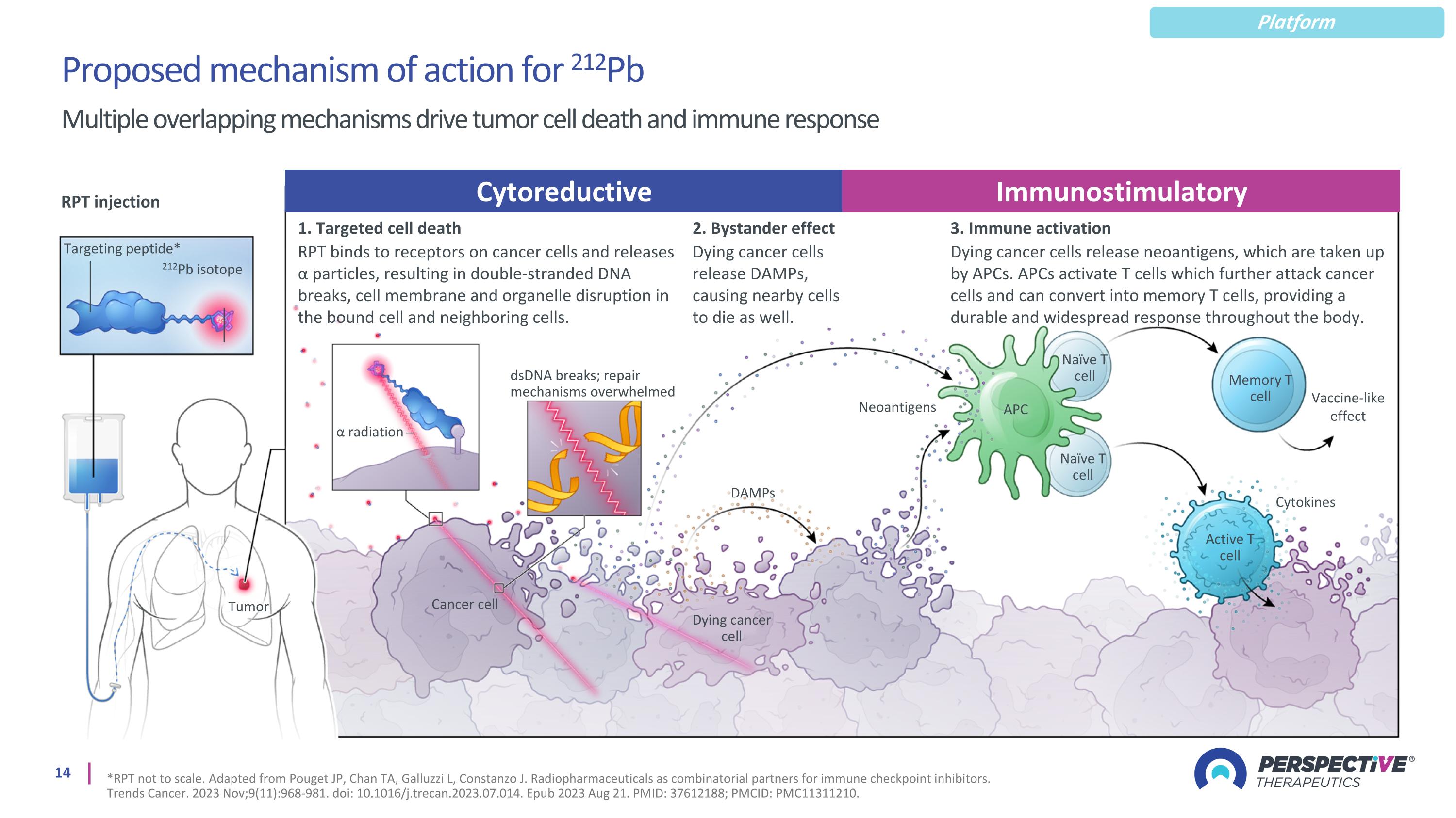 Slide 14