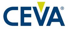 ceva01.jpg