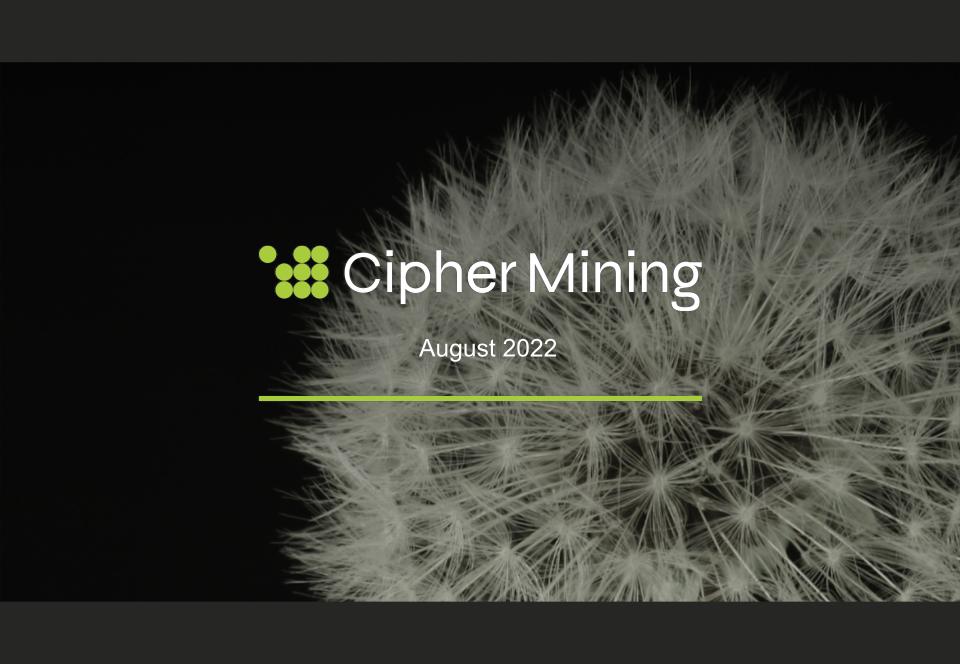Slide 21