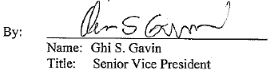 gavinsig01.jpg