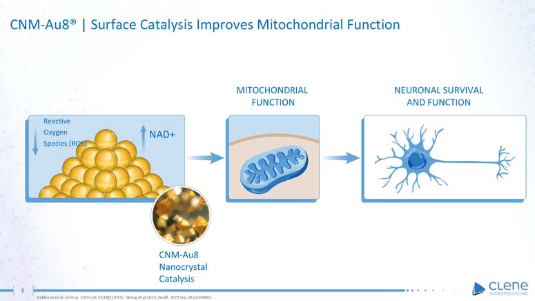 slide05.jpg
