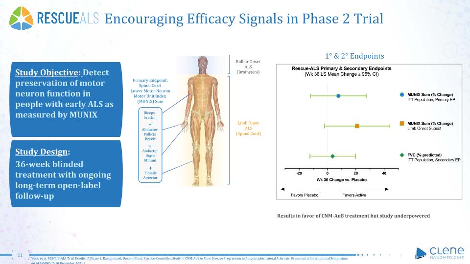 Slide 11