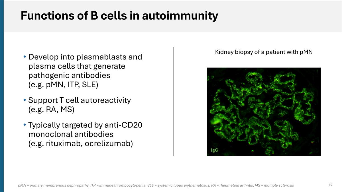 Slide 10