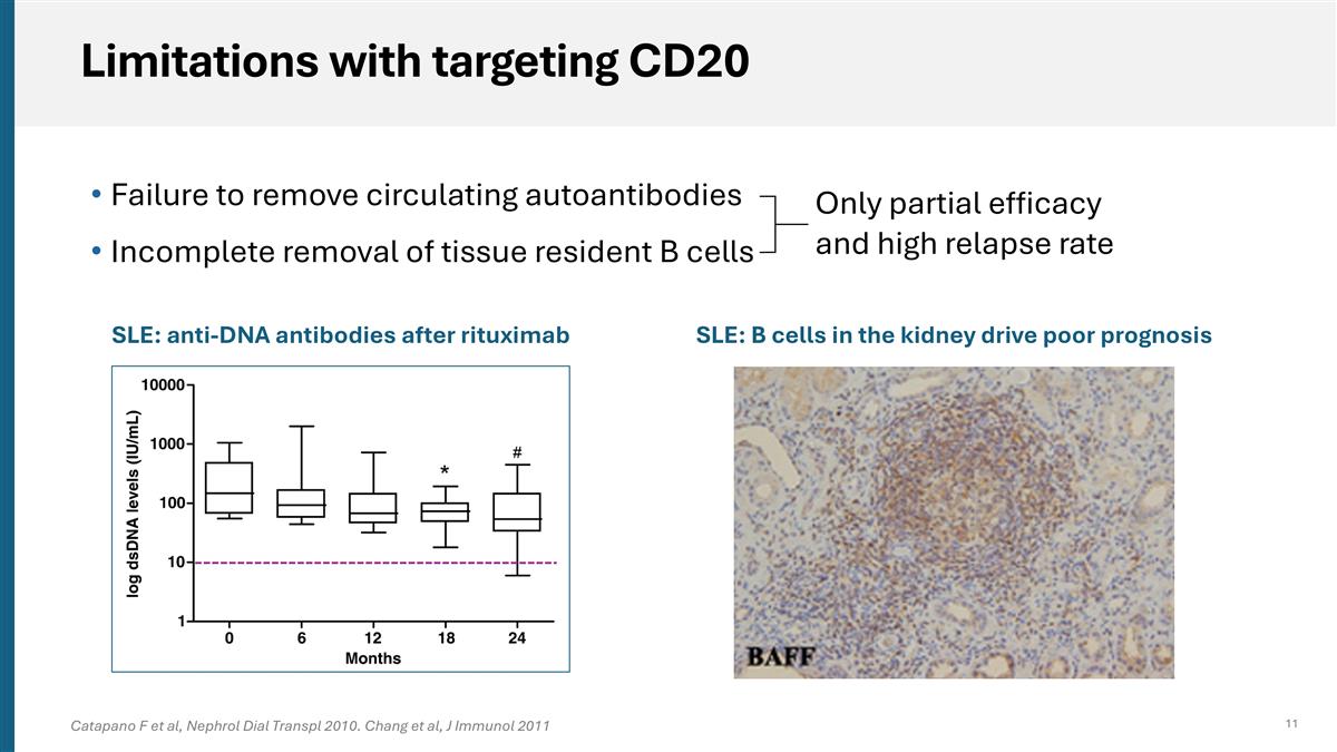 Slide 11