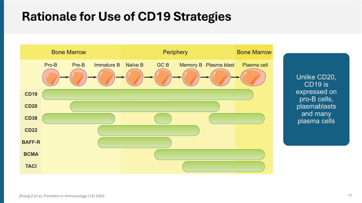 Slide 13