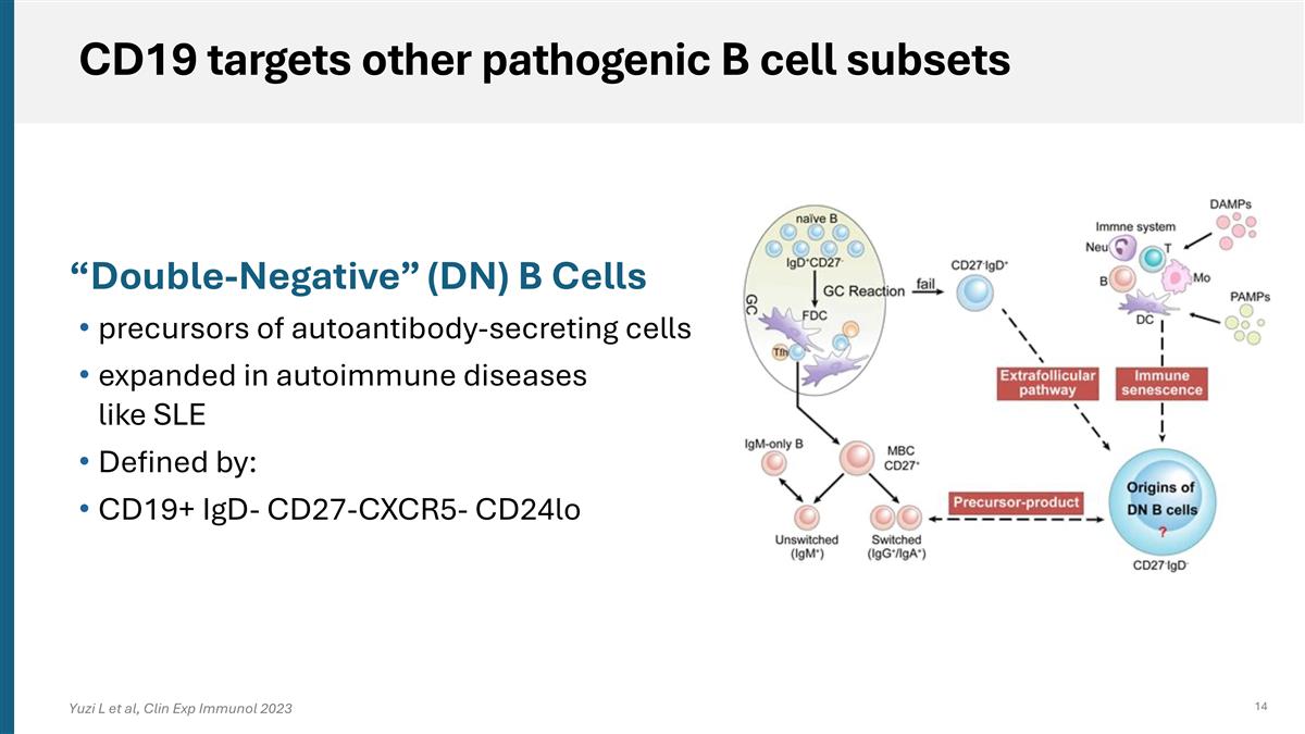 Slide 14