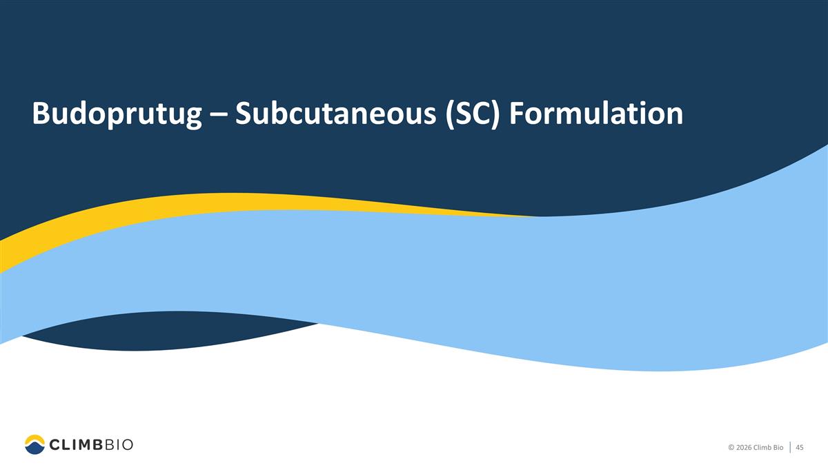 Slide 45