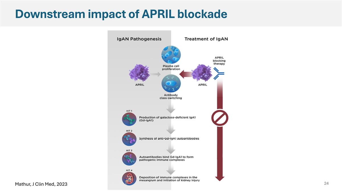 Slide 24