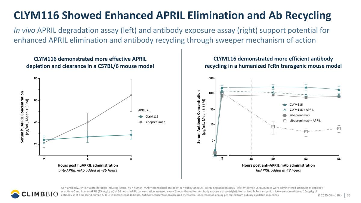 Slide 36