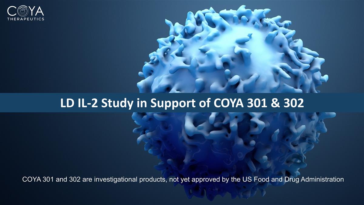 Slide 12
