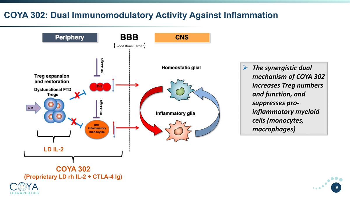 Slide 15