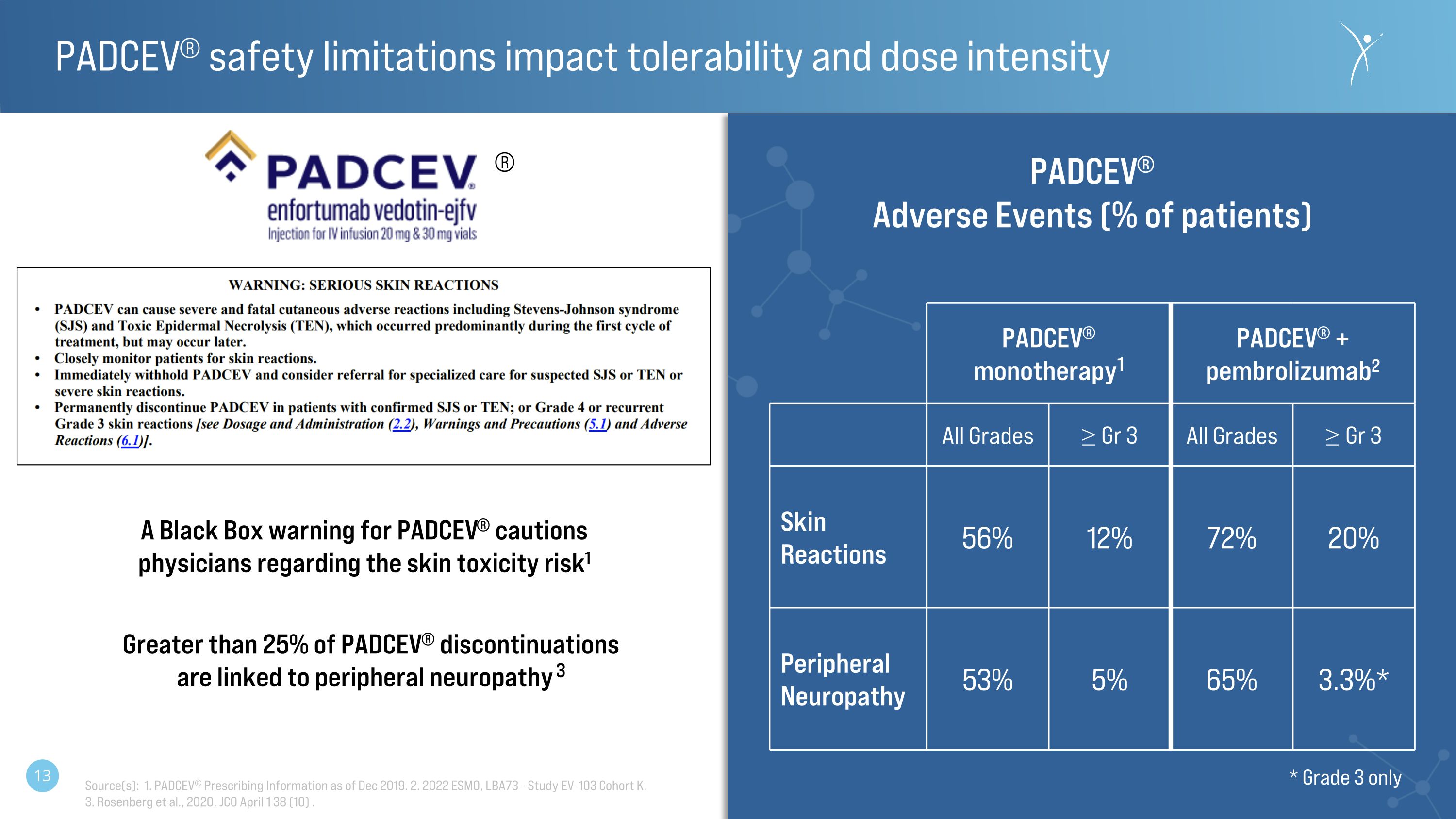 Slide 13 Slide 13
