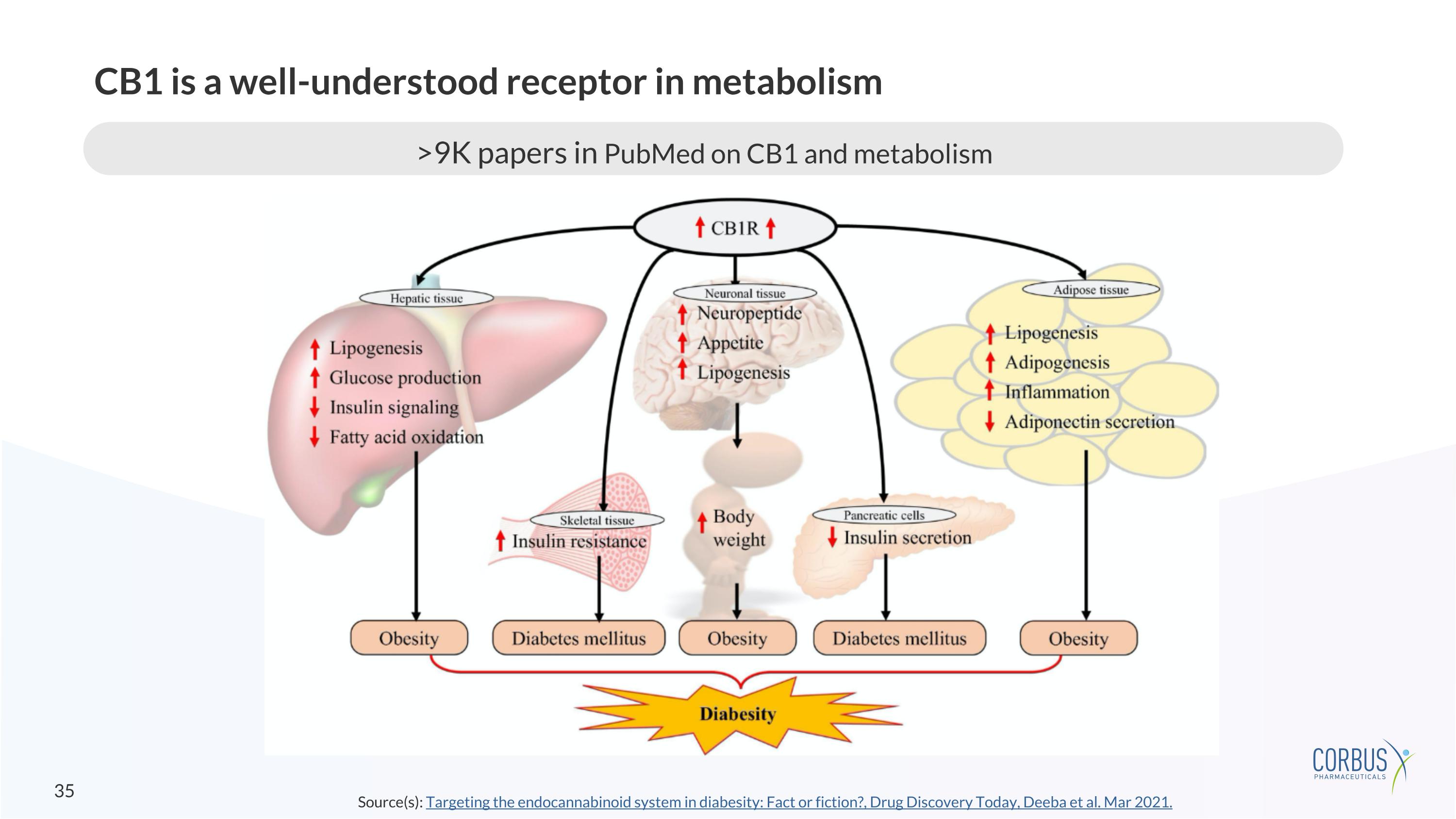 Slide 35
