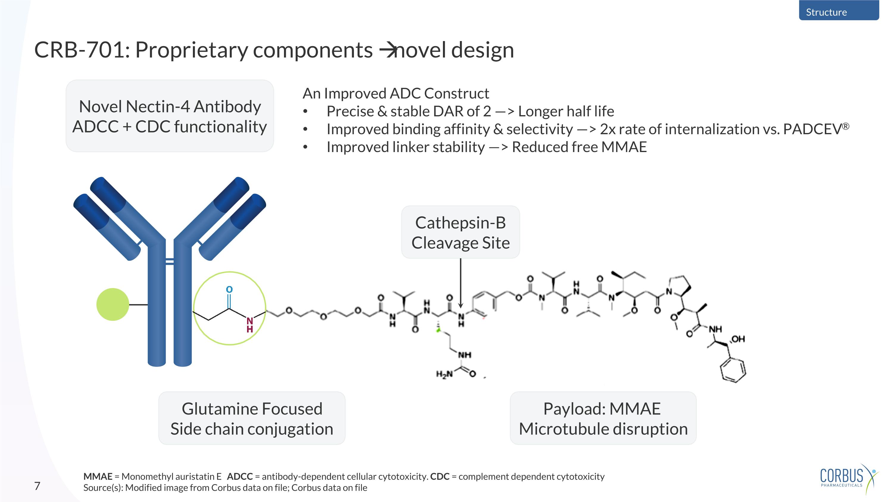 Slide 7