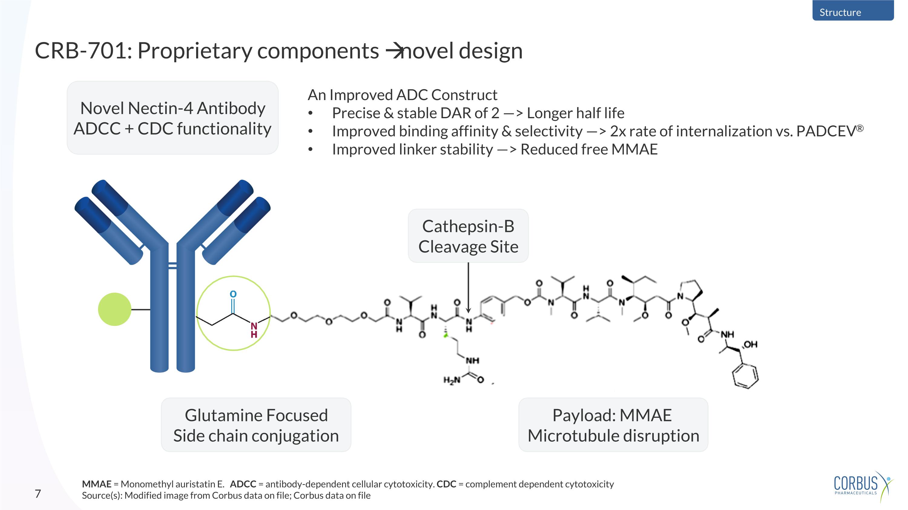 Slide 7