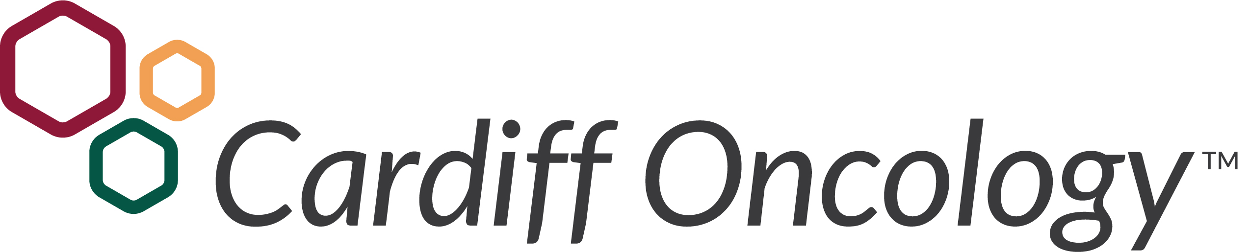 cardifflogorgbtm2.jpg