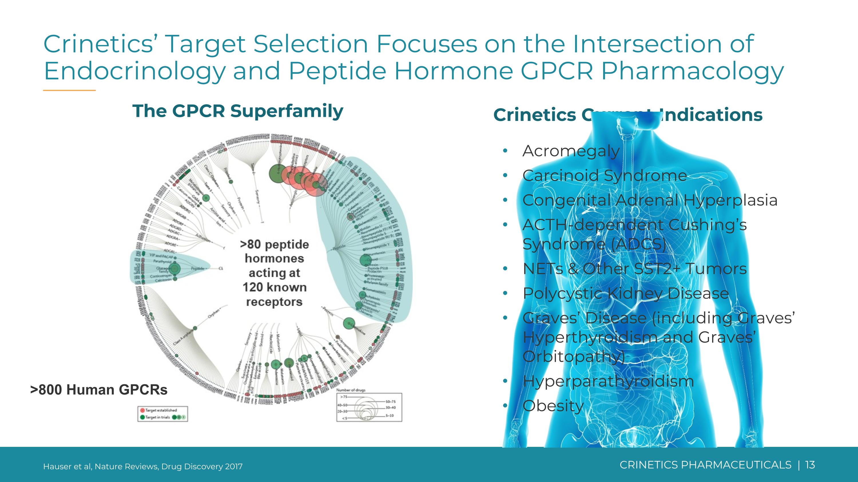 Slide 13