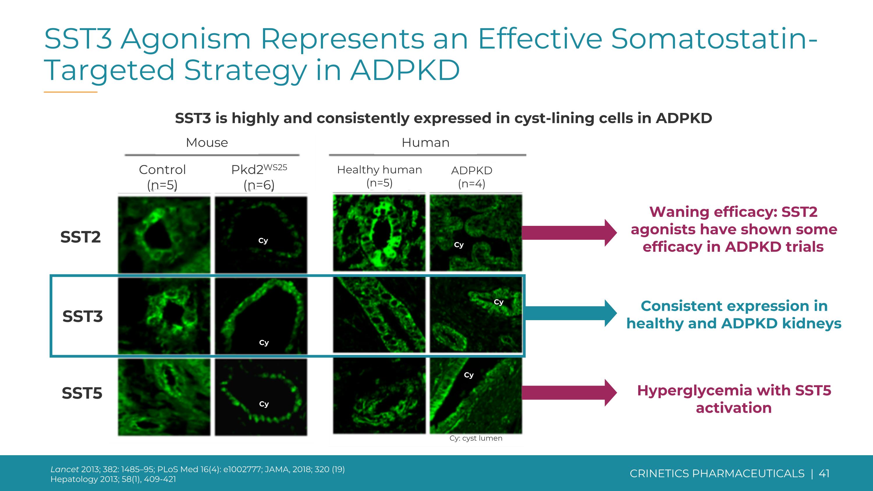 Slide 41