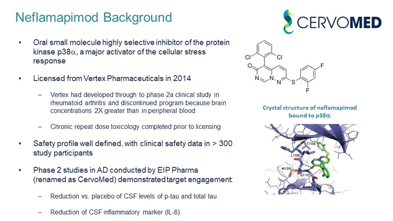 slide08.jpg
