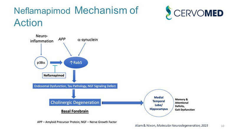 slide11.jpg