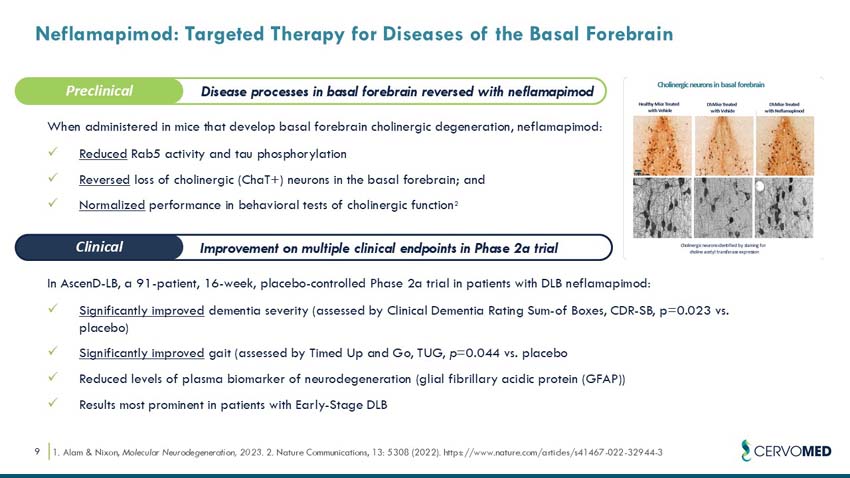 slide09.jpg