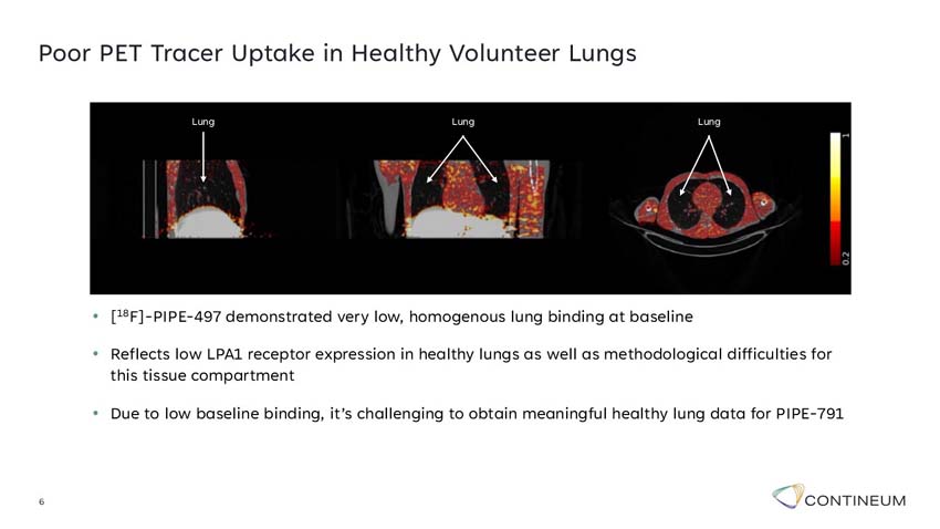 slide06.jpg