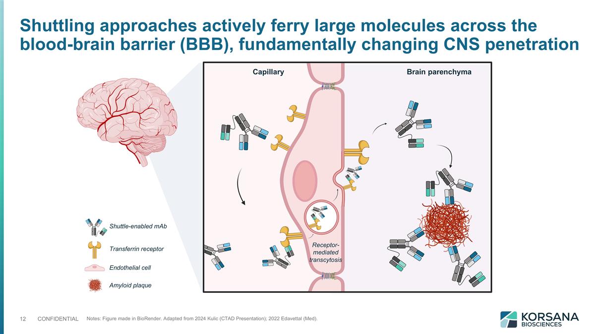 Slide 12