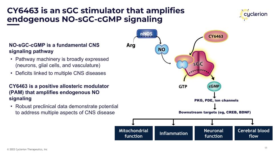 Slide 11