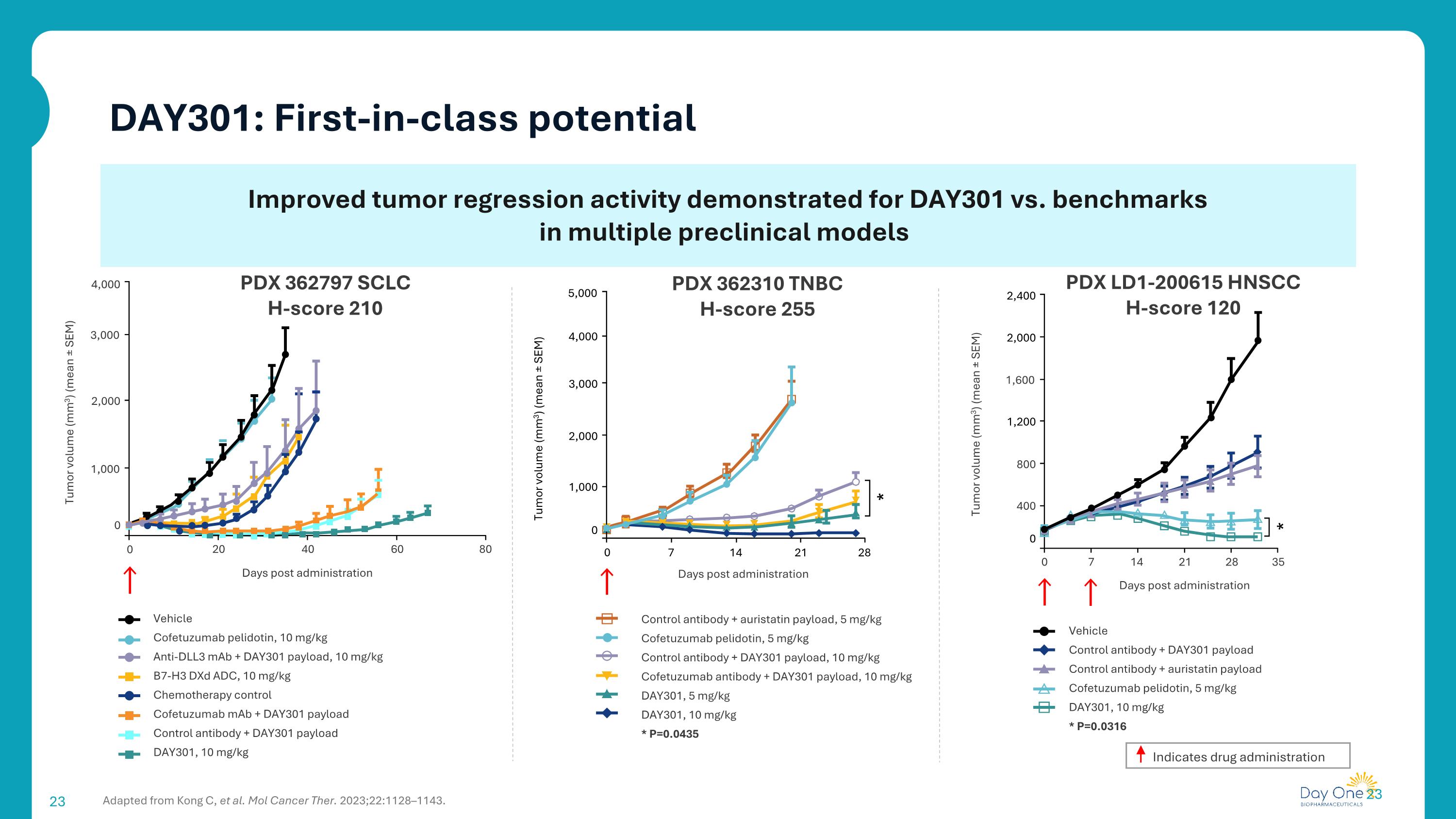 Slide 23