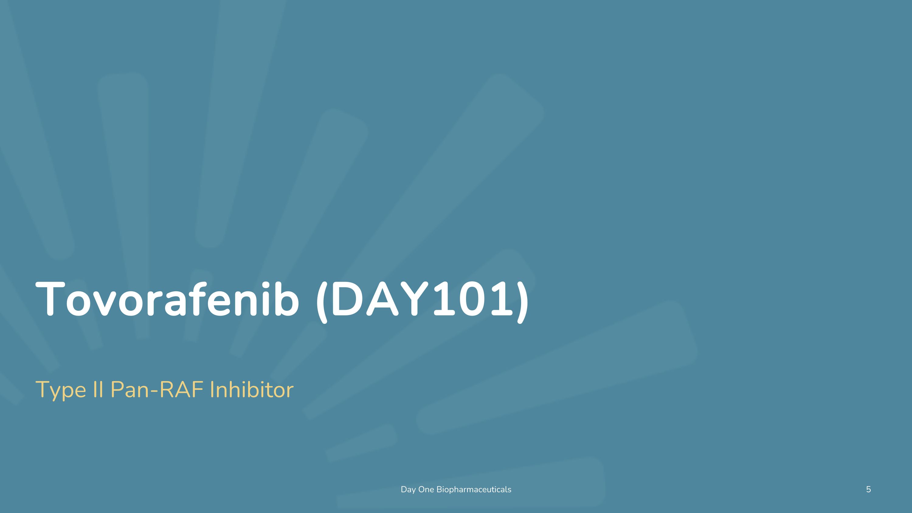 Slide 5